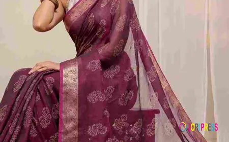 Shop the Best Party Wear Sarees for Sale Online