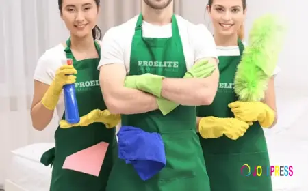 Cleaning Services in Brisbane: Are You Cleaning Enough or Just Getting By?