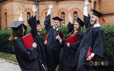 the Best study abroad consultants