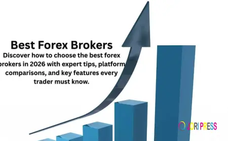 Regulated Forex Brokers: Why Safety Matters in Online Trading