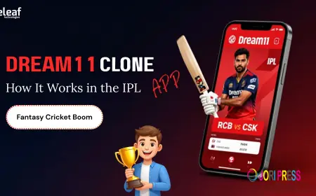 Dream11 Clone App: How It Works in the IPL Fantasy Cricket Boom