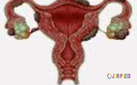 IVF Center in Amritsar: Complete Guide to Choosing the Right Fertility Clinic