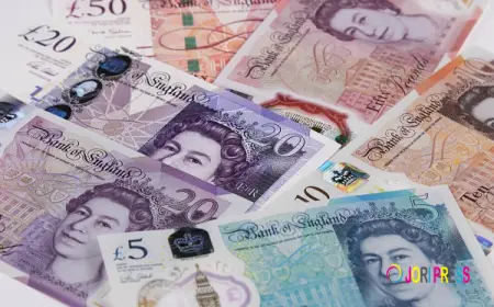 BDI Securities UK Limited Expands Financial Solutions with Corporate Cash Management Services