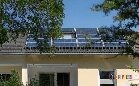 Solar Lead Companies That Deliver Qualified Prospects for Higher Conversion Rates