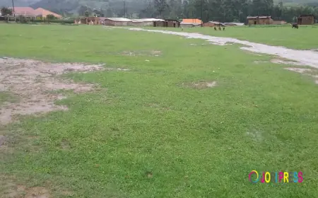 Rushebeya Market Land legal battle takes new twist with Woman MP, Husband Named as Ghost Buyers.