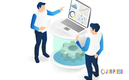 Best Website Designing Company in Delhi NCR: How to Choose the Right Partner for Your Business Growth