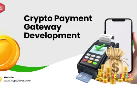 Why Wallet Integration is Important in Crypto Payment Gateways