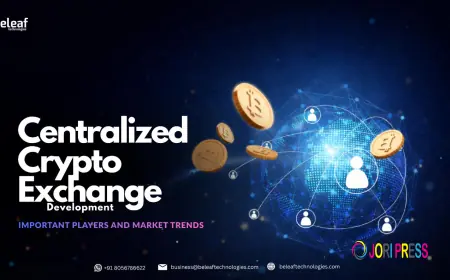 Centralized Crypto Exchange Development: Important Players and Market Trends