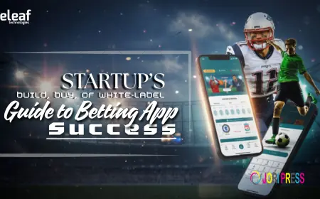 Build, Buy, or White-Label? A Startup’s Guide to Betting App Success