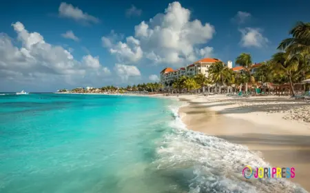 The Ultimate Aruba Travel Guide: Why Autonomy is the Key to Paradise