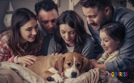 Compassionate Pet Loss Support When You Need It Most