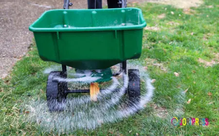 How long does it take for lawn edging services in Martha’s Vineyard to show visible results?