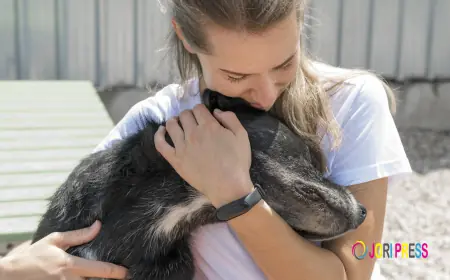 Can ESA Letter Texas Really Help with Anxiety and Stress