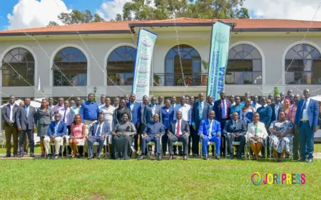 NEMA Empowers District Leaders on Environmental Mainstreaming.