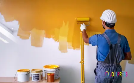 Custom Painting of Asheville INC Strengthens Its Presence in Asheville, NC with Top Painting Services