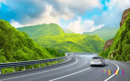 Corolla vs Suzuki Cars for Rent in Pakistan