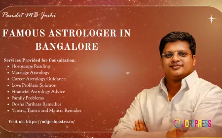 Famous Astrologer in Bangalore – Explore Astrological Services for Life Guidance