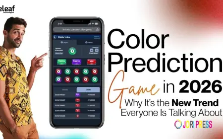 Color Prediction Game in 2026: Why It’s the New Trend Everyone Is Talking About