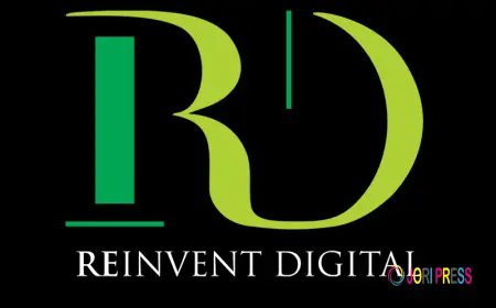 Reinvent Digital | Digital Marketing Agency in Jaipur
