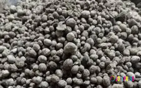 Cómo aumentar la fertilidad del suelo con fertilizantes adecuados