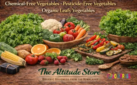 Why Delhi NCR Families Are Choosing Chemical Free Vegetables for Cleaner Everyday Meals