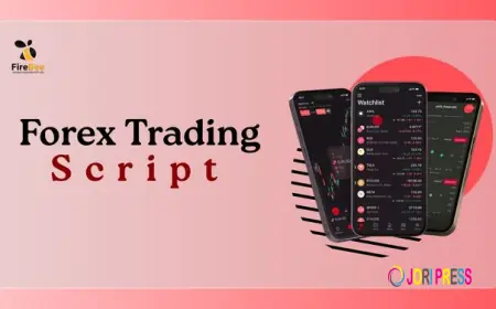 Top Benefits of Using a Forex Trading Script for a Profitable Trading Platform