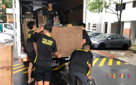 Moving Company Singapore: The Smart Guide to Stress-Free, Affordable Relocation