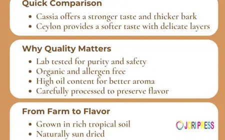 Our Cinnamon Collection Cassia for Boldness, Ceylon for Balance