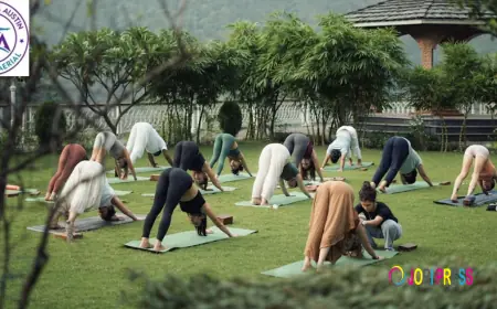 Explore the Best Aerial Yoga Classes Near Me in Austin at Aya Art of Aerial