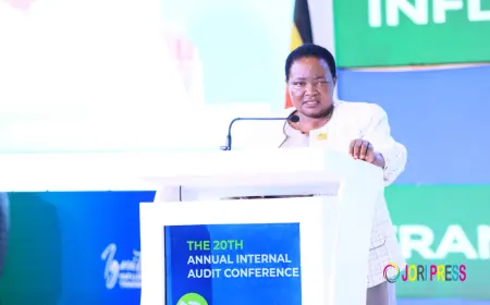Government Pledges New Law to Strengthen Internal Auditors’ Role