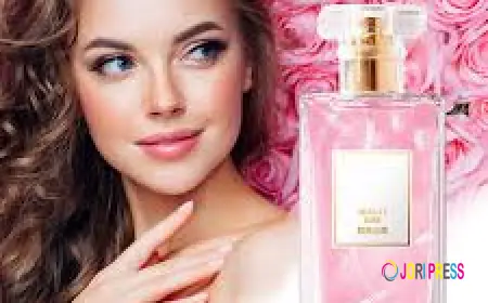 Best 5 Summer Perfumes for Men in 2026