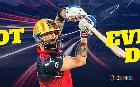 A Closer Look at IPL Matches Through Performance and Strategy Insights