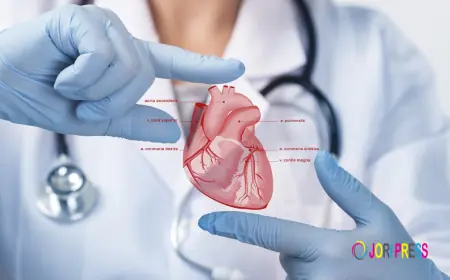Best Cardiologist in Sharjah: Complete Guide to Heart Health & Care