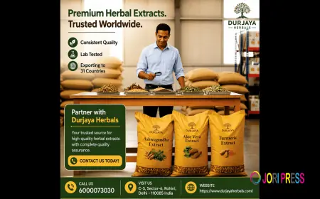 Ashwagandha Extract Wholesalers | Trusted India Supply