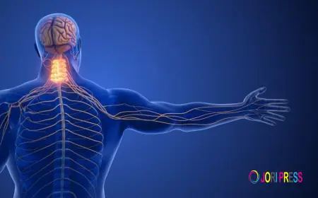 What to Do If a Child Has a Seizure – Essential First Aid Guide