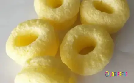 Extruded Snacks Market Scope Growth Drivers Trends Opportunities & Future Industry Outlook