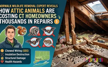 Norwalk Wildlife Removal Expert Reveals How Attic Animals Are Costing CT Homeowners Thousands in Repairs