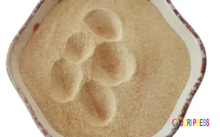 Feed Enzyme Market Future Trends Driving Sustainable Livestock Nutrition Growth Worldwide Adoption Expansion