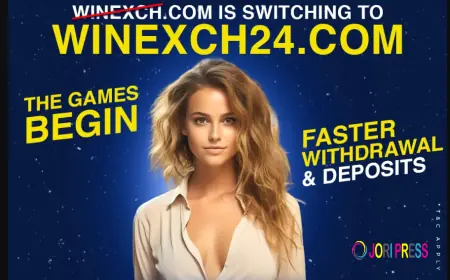 Your Ultimate Destination for Online Sports Gaming