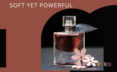 A Signature Home Scent That Feels Soft Yet Powerful
