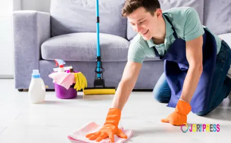 Trusted Home Cleaning Services in Ipswich Now Available from Bedeen Cleaning Services