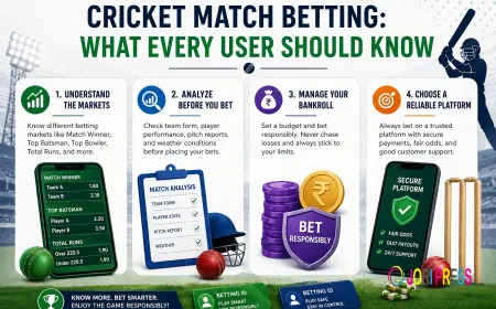 Cricket Match Betting: What Every User Should Know