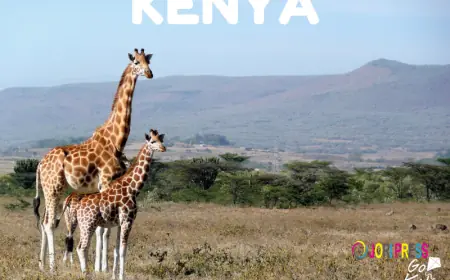 Kenya Visa from Dubai for Families – Requirements for Kids & Dependents