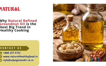 Why Natural Refined Groundnut Oil is the Next Big Trend in Healthy Cooking