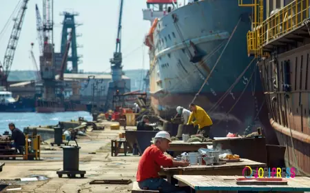 Forklift Repair and Maintenance Services in UAE | Reliable Equipment Solutions