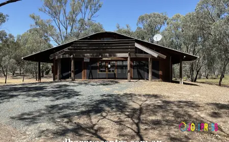 Kingfisher Cruises – Eco-Friendly River Tours in Barmah