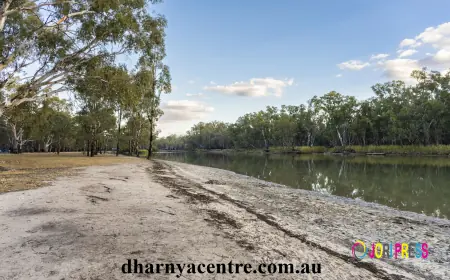 Walking Trails – Nature & Cultural Walks in Barmah National Park