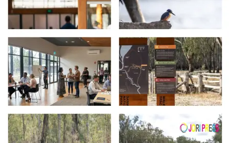 Discover Dharnya Centre – Culture & Nature in Barmah National Park