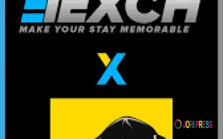 ? 91Exch (91exch.org): Complete Guide, Features, Safety, and User Experience