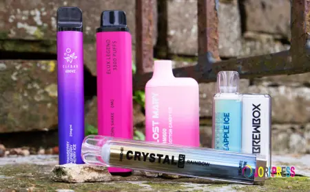 Shop Smookah Hookah Head BUY NOW!